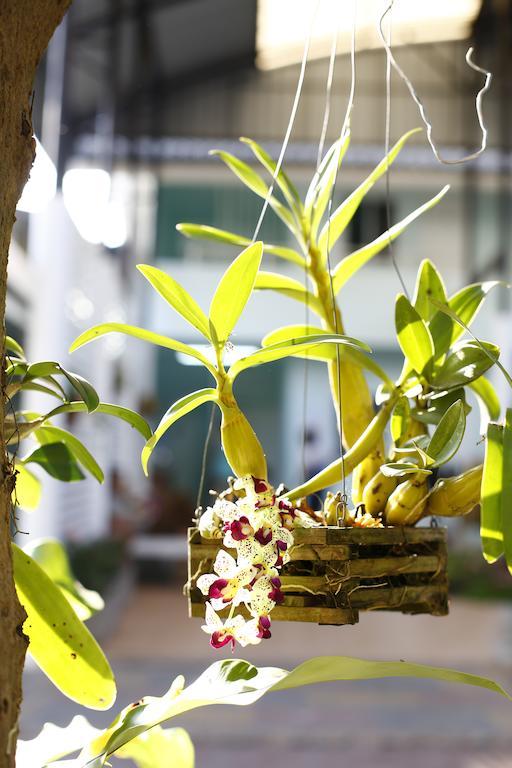 Chongrak Guesthouse Chiang Mai Dış mekan fotoğraf