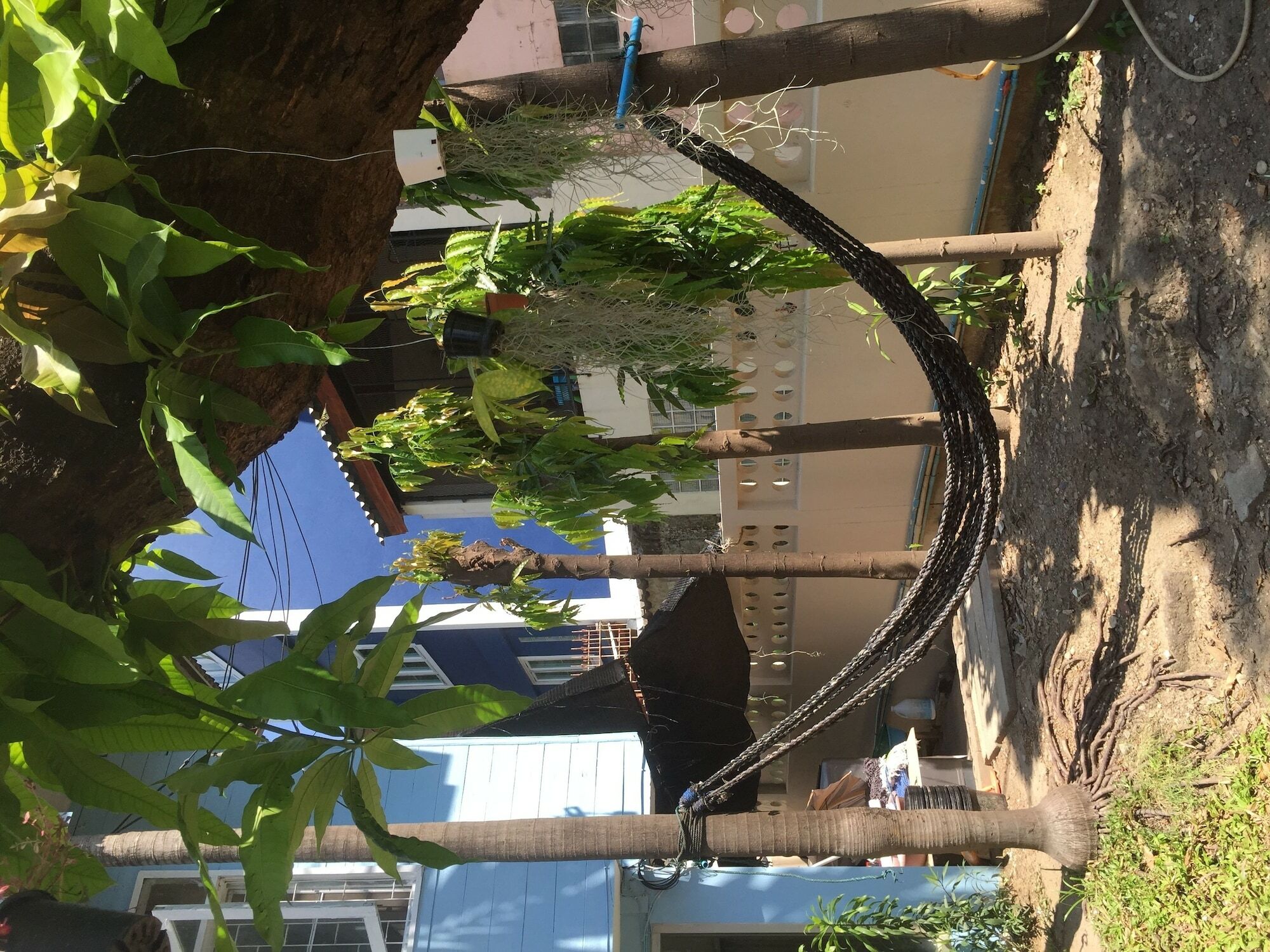 Chongrak Guesthouse Chiang Mai Dış mekan fotoğraf